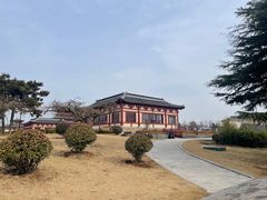 -洛阳古墓博物馆