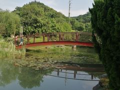-桃花岭景区