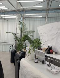 -BOF HAIR BY HONTO