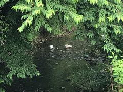 -夏霖九天银瀑风景区