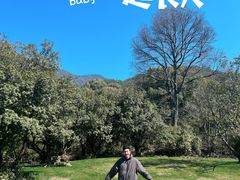 -逸廊大堂吧-下午茶·简餐-千岛湖自由洲际殿