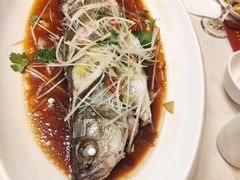 清蒸鲈鱼-喜乐餐厅•灯笼虾球首创者•本地小海鲜(二马路店)