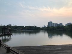 -圩墩遗址公园