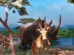 -国家自然博物馆