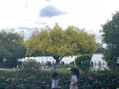 -海珠湖公园