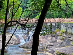 -广州白江湖森林公园