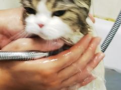 -皮特动物医院(24小时店)