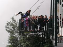 -梦幻奥陶纪景区