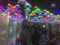 -深圳失恋博物馆再见前任(汇商名苑店)