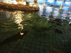 -天怡·鱼工厂(临江店)