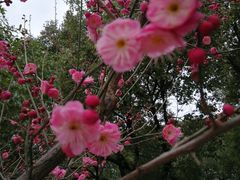 -宝岩生态观光园