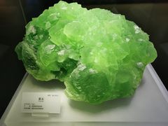 -湖南省地质博物馆