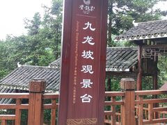 -紫鹊界梯田景区