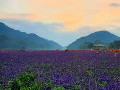 -广州市石门国家森林公园