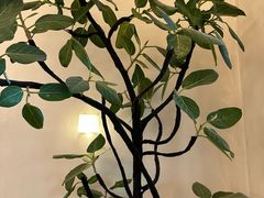 -小团圆糖水铺(襄阳南路店)