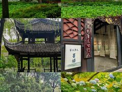 -桂湖森林公园