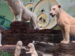 -陕西自然博物馆