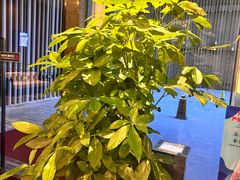 -珠海棕泉水疗酒店(拱北口岸高铁站店)