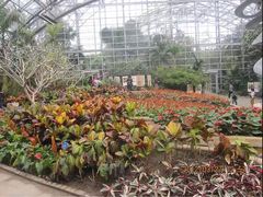 -南山植物园