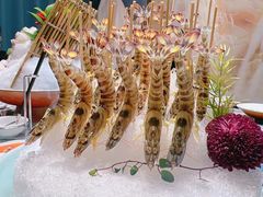 -鲐赏河豚(长寿店)