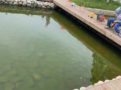 -前小桔亲子创意农场·草莓采摘·露营烧烤