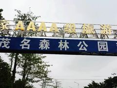 -广东茂名森林公园