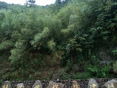 -将军关探险漂流