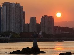-江心屿景区