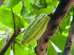 -歌斐颂巧克力小镇