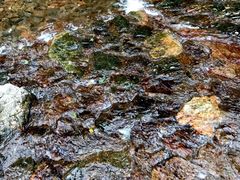 -宁波五龙潭景区