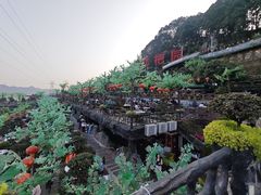 -枇杷园食为鲜火锅(南山店)