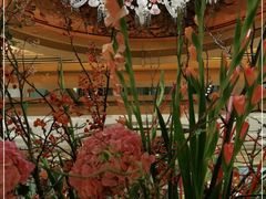 -北京盘古七星酒店