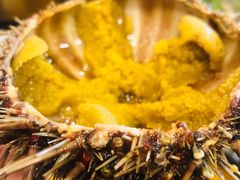 海胆-老东镇啤酒屋海鲜加工·蒸汽海鲜·海鲜烧烤(台东店)