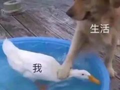 -悦厅·下午茶(杭州柏悦酒店)
