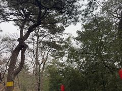 -红螺寺