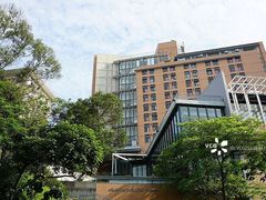-香港大学