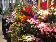 -谷莠子花艺·气球派对·绿植造景·花艺沙龙(金光华广场店)