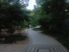 -长广溪湿地公园