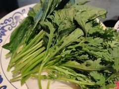 蔬菜拼盘-东镇老火锅(长春路首店)
