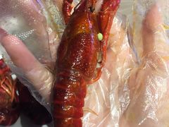 -霸王虾·小龙虾香辣蟹(玉林店)