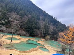 -黄龙山原始森林景区