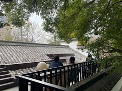 -日出青木