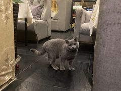 -吱咖啡西式简餐