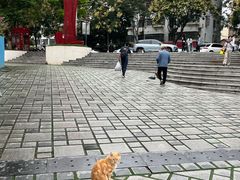 -UNI UNI(环亚凯瑟琳店)