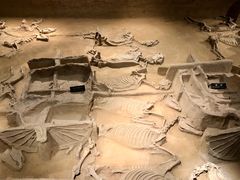 -洛阳周王城天子驾六博物馆