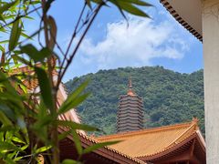 -深圳仙湖植物园