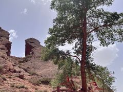 -天山神秘大峡谷