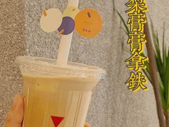 -代数学家algebraist(苏州中心店)