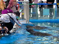 -北戴河圣蓝海洋公园