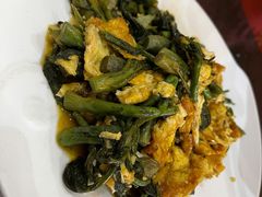 刺嫩芽炒鸡蛋-高晓山馅饼